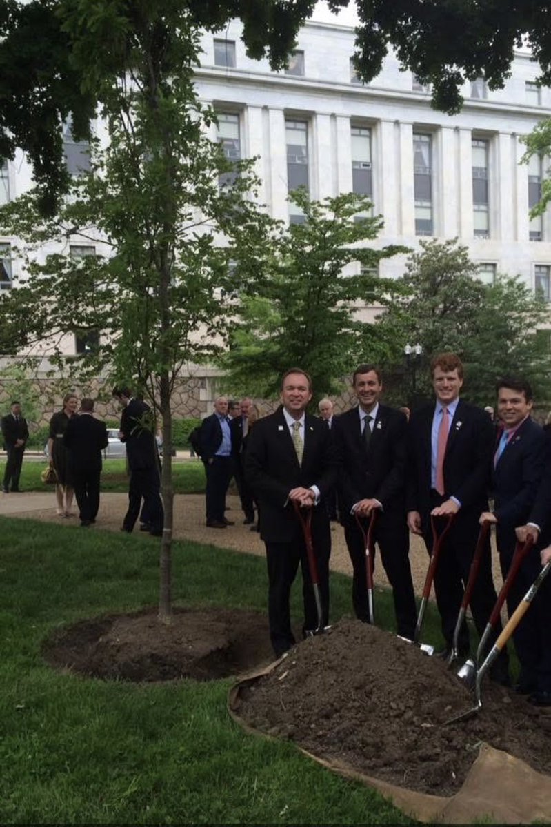 Senator Mark Daly tweet media