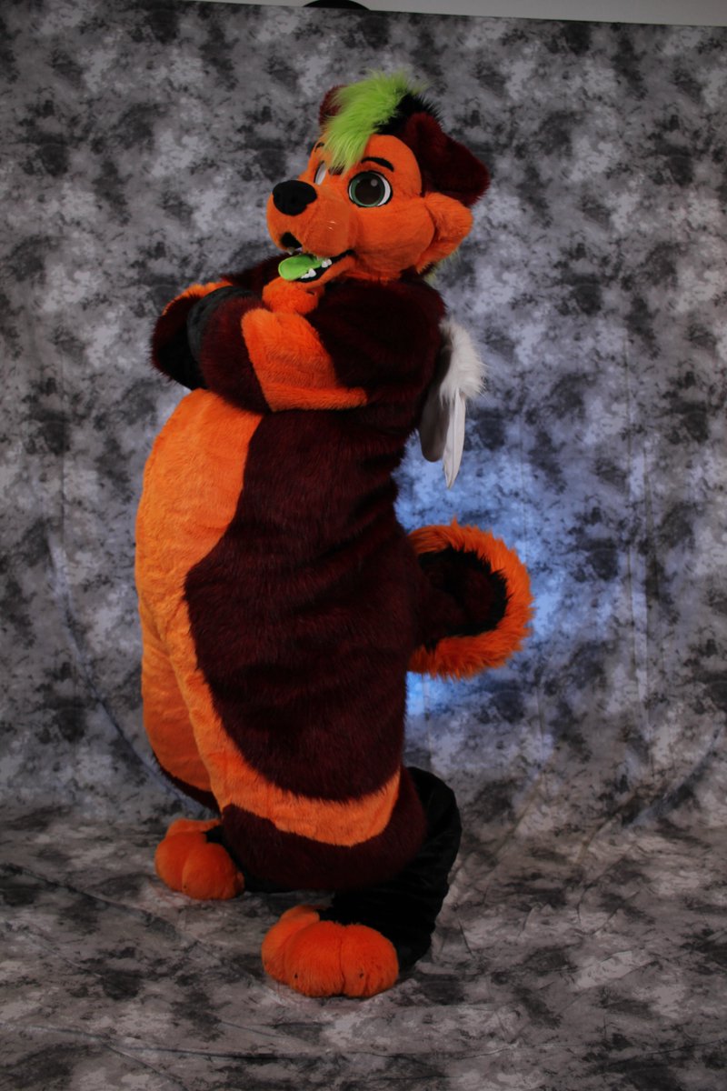 GSY Fursuits 🐾🪡🇨🇦 tweet media