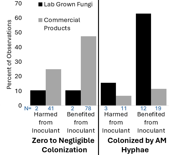 Liz Koziol tweet media