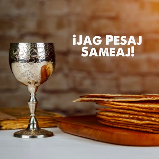 Karina Mariani tweet media