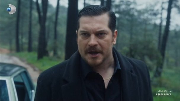 Sarah ❤️🪸🔥 tweet media