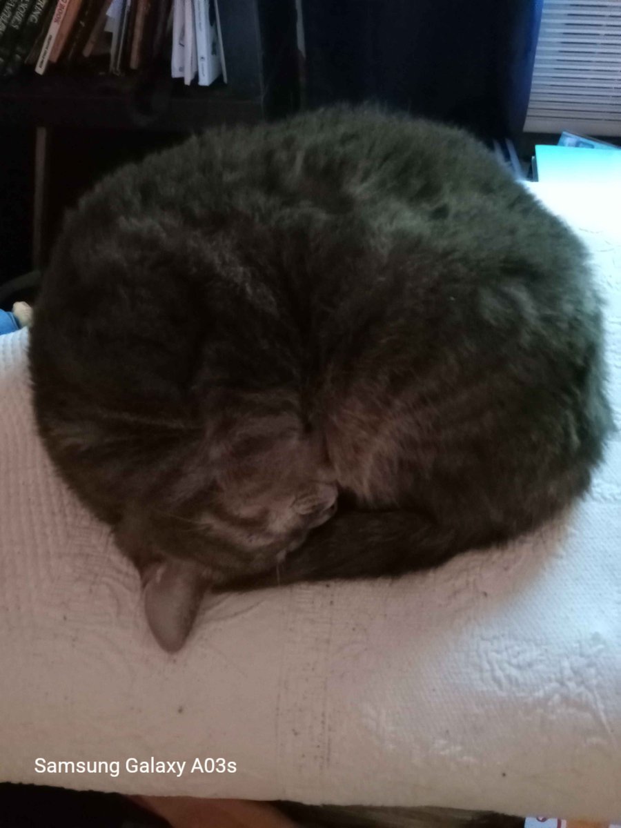 🌸𝑅𝑒𝓃𝓃𝒶🌸 tweet media