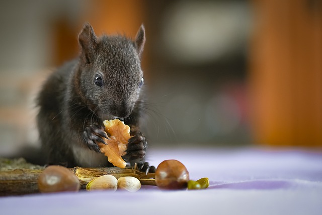 Jerry Allen tweet media