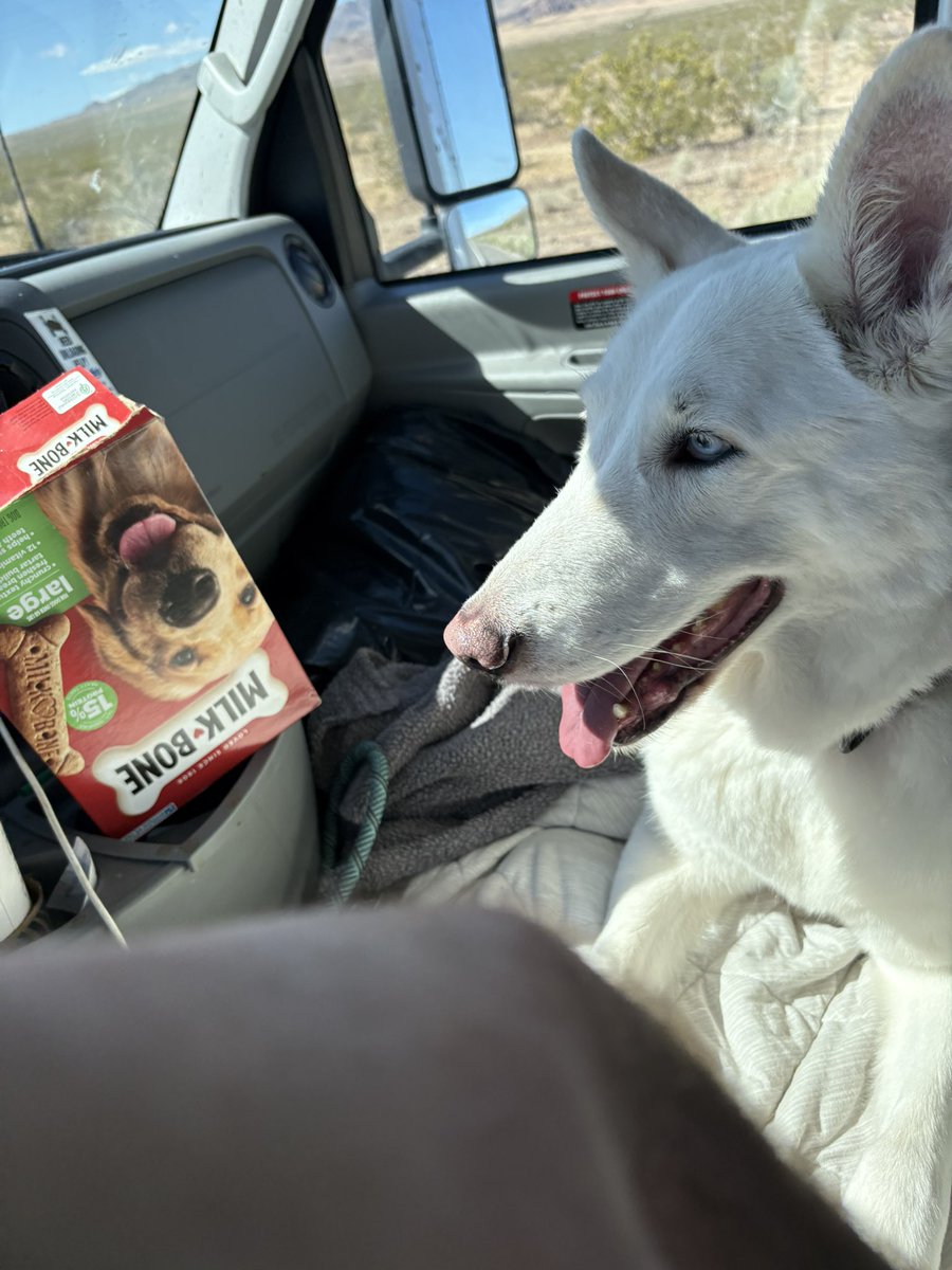 Omar of The Omar Show tweet media