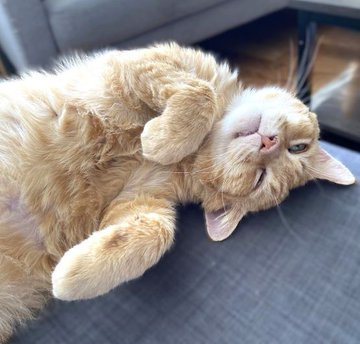 Renee' Martin tweet media