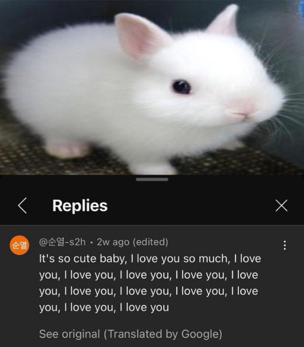bunny tweet media