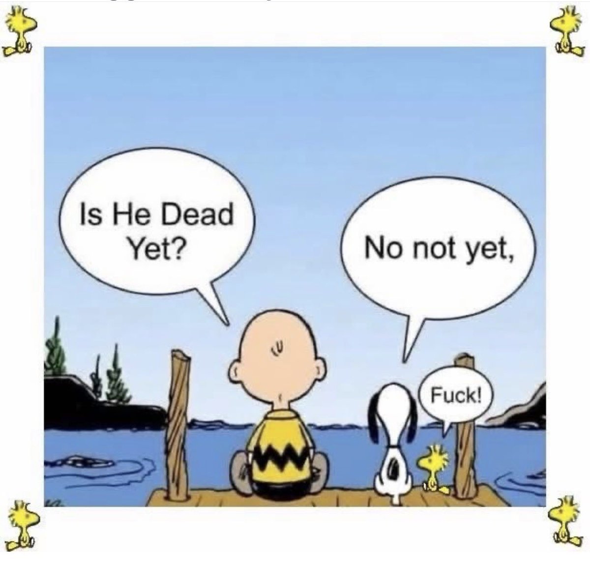 Benji 💙💛 🏴󠁧󠁢󠁥󠁮󠁧󠁿 tweet media