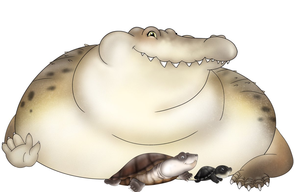 Valentinocolon2's tweet photo. African helmeted turtle father named Kito, his companion, a Nile crocodile named Zola, and his little daughter, Nia. #characterdesign #Africanhelmetedturtle #nilecrocodile #characterart https://t.co/vcW9v0TlhB