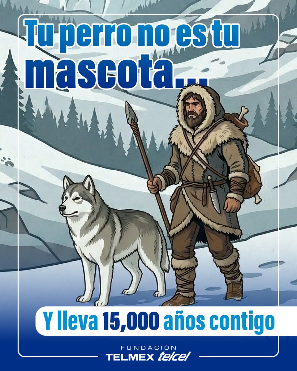 fundaciontelmex's tweet image. Tu perro no es casualidad🐶👀 

Llevamos más de 15,000 años juntos  

Un hallazgo reciente analizó el ADN de una mandíbula antigua y confirmó que humanos y perros ya convivían desde la Edad de Hielo

👉No es solo una mascota… es historia  

💬¿Ya lo sabías?  

#Ciencia #DogLover