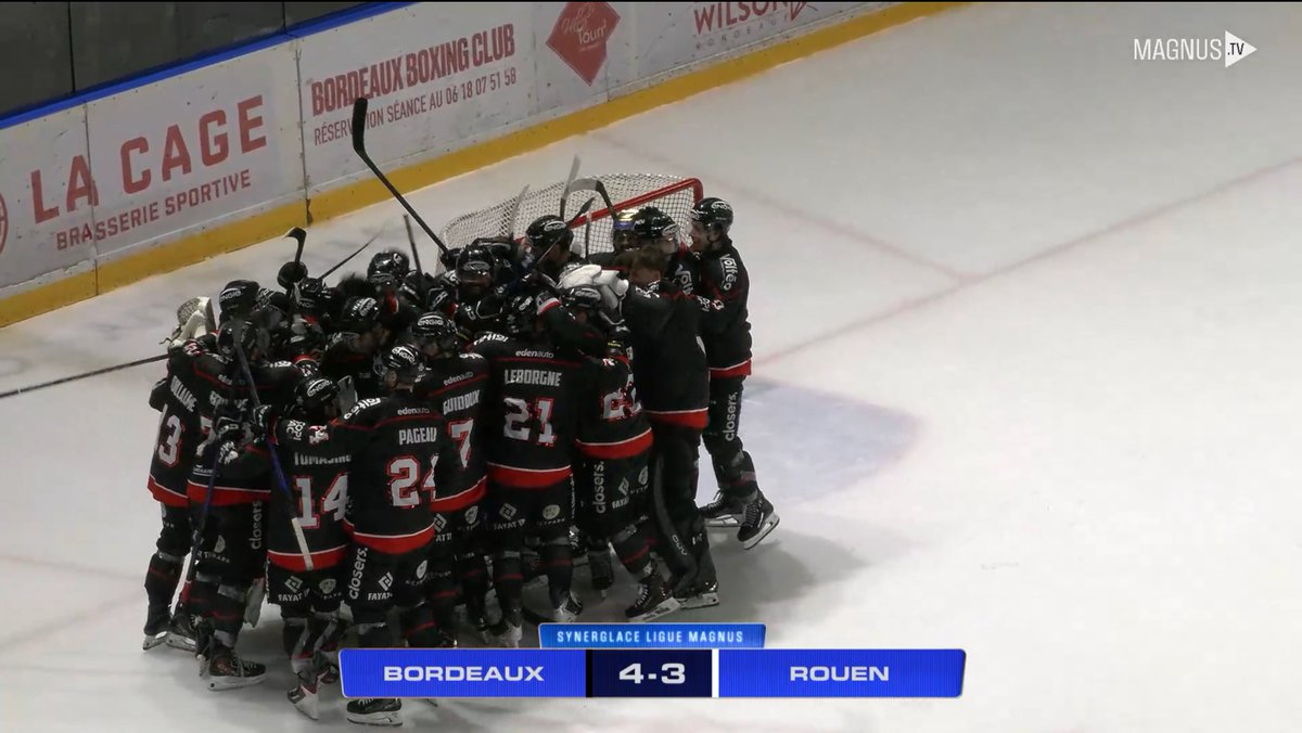 Synerglace Ligue Magnus tweet media