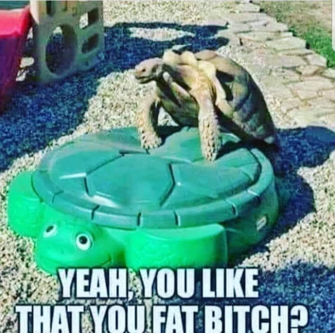 Laggingnlooting tweet media