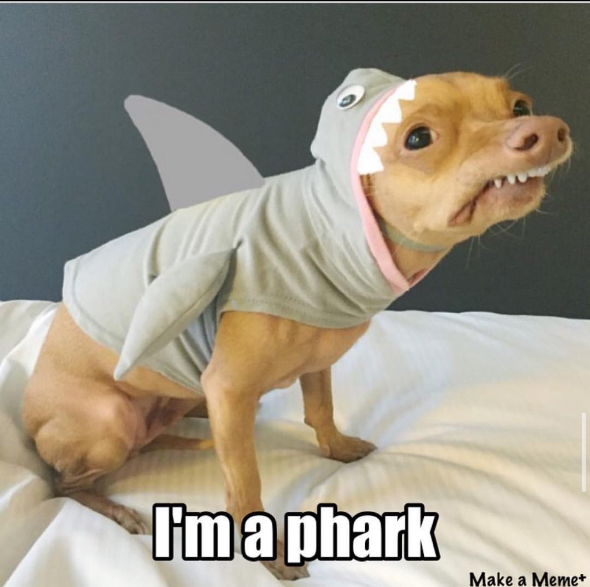 Phtevencoin tweet media