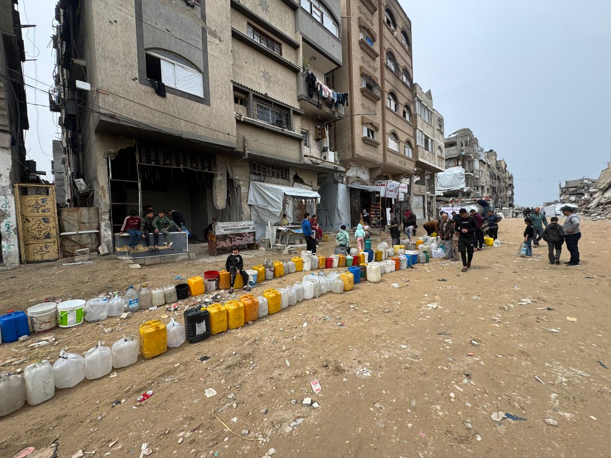 دعاء الشريف Doaa El shareef | 🇵🇸 tweet media