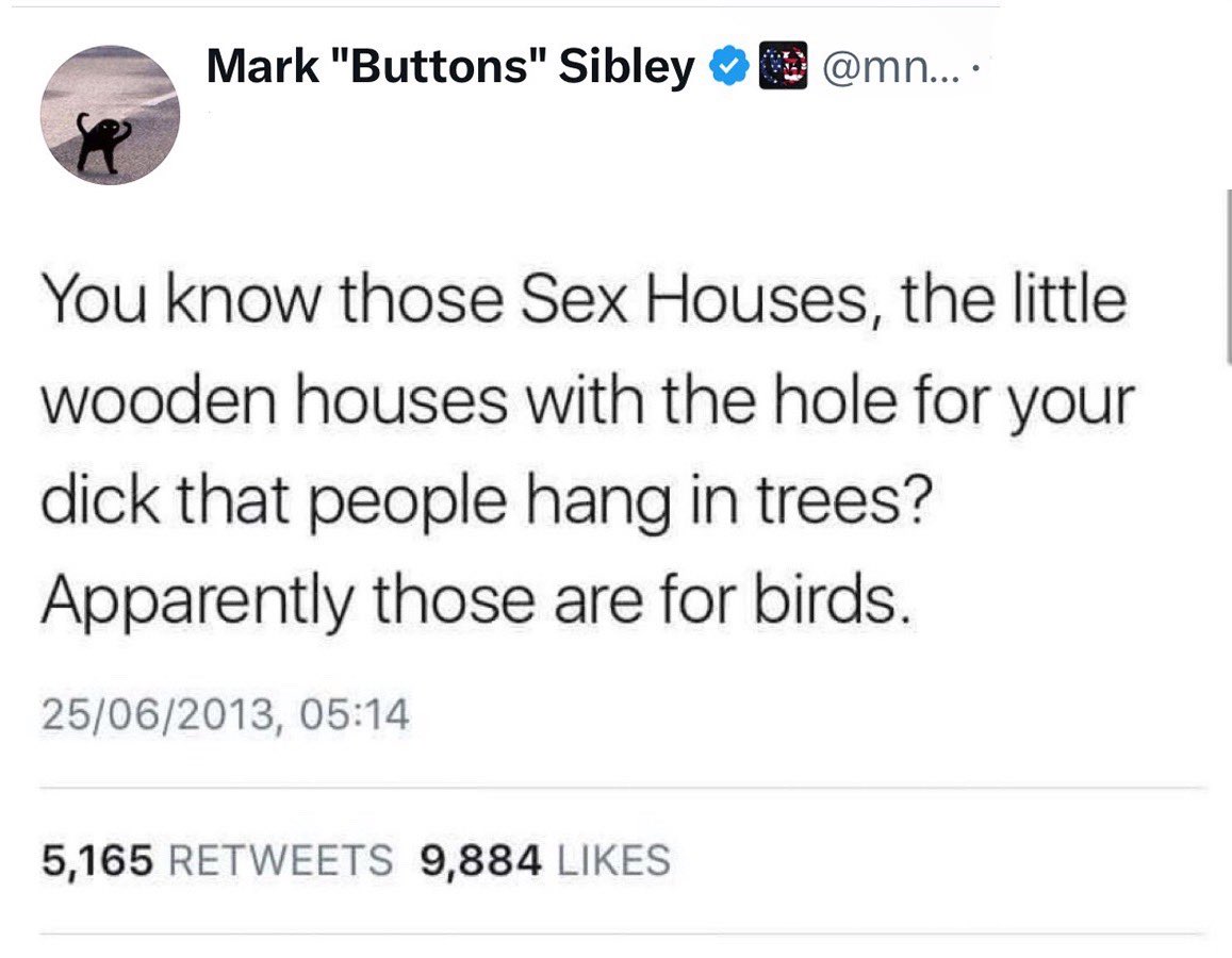 TalibanArtDealer tweet media