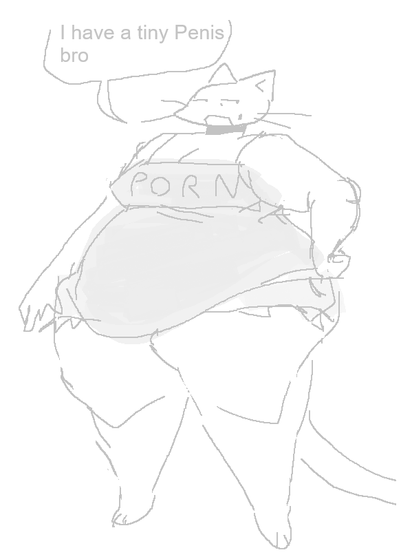 cassicat tweet media