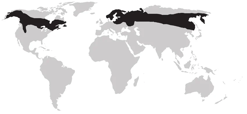 Real ™ aryan trap$tar tweet media