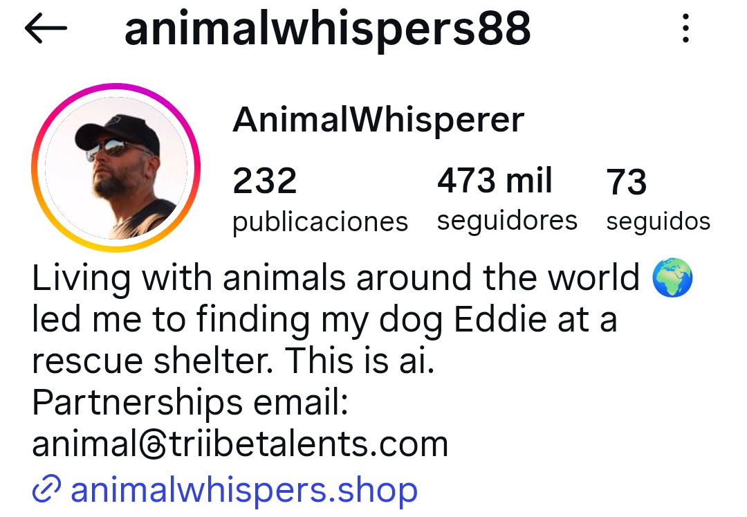 OrtoBalagardo.™ tweet media