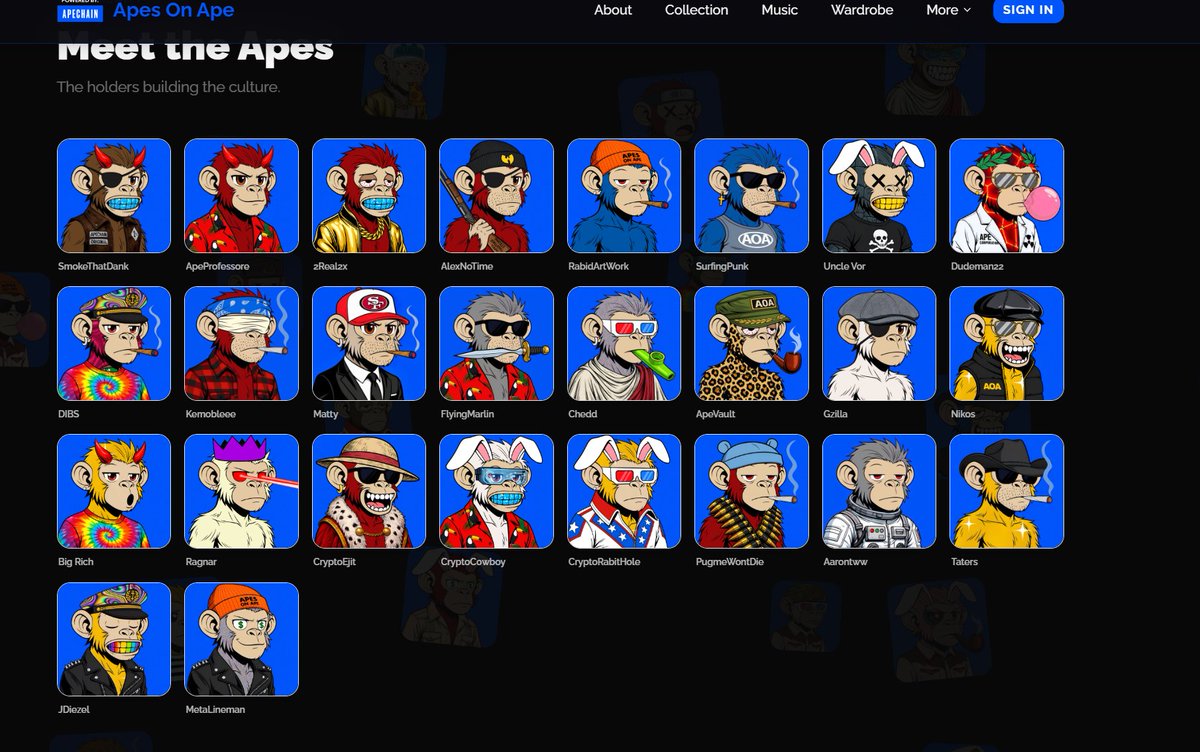 apeprofessore.eth 🇦🇪 tweet media