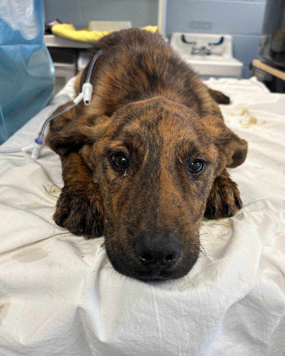 15/10 Foundation tweet media