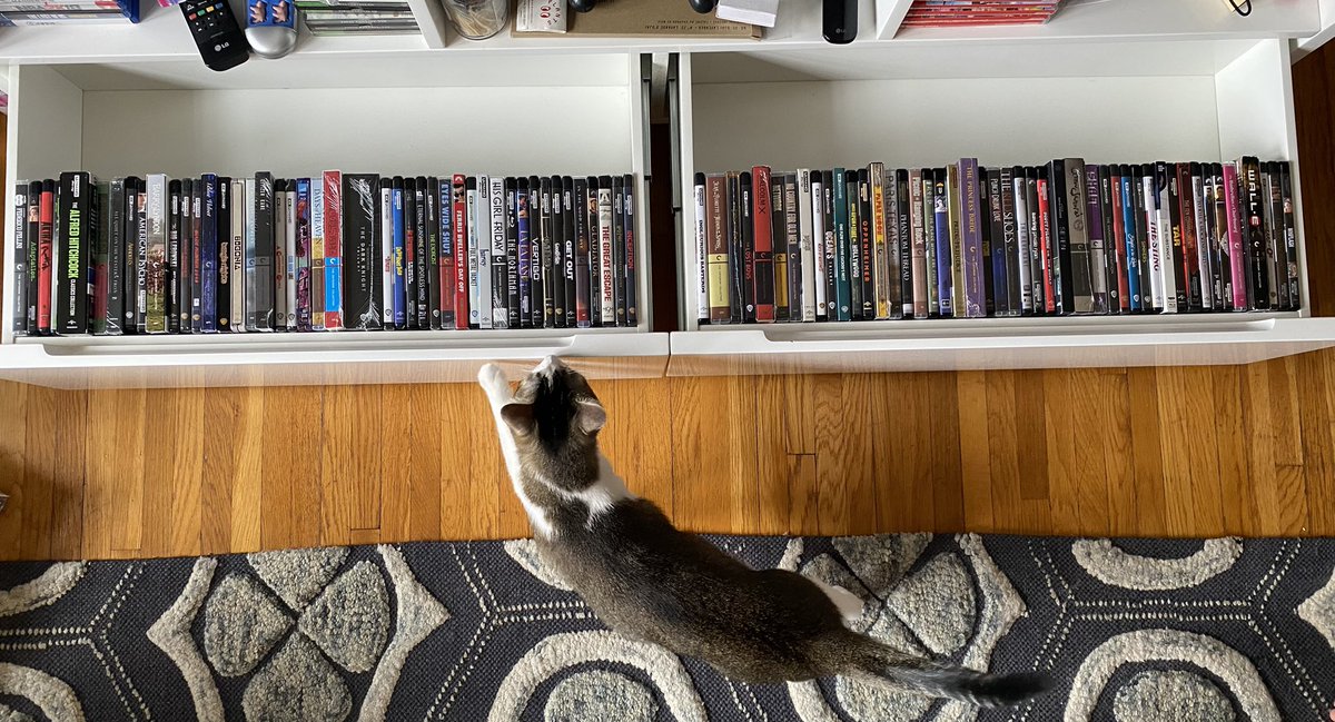 Nate Camo tweet media