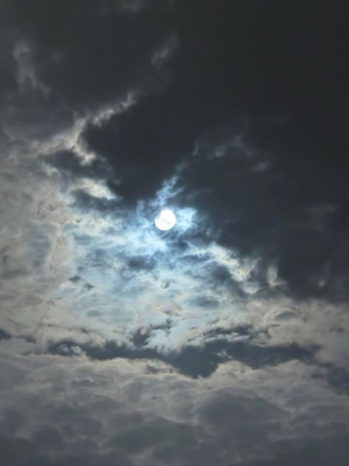 ميمي 🇸🇦 tweet media