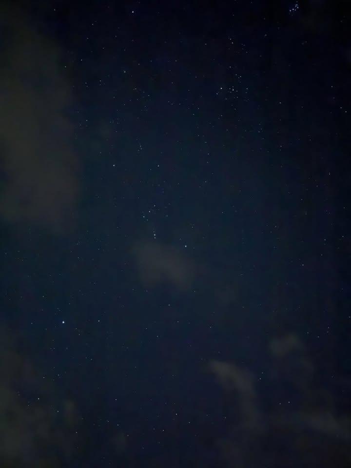 ميمي 🇸🇦 tweet media