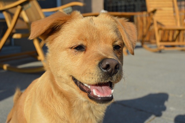 Lauren Partida tweet media