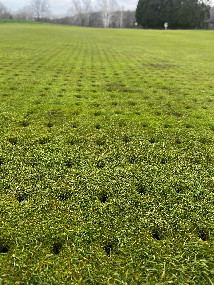 Mahaley Nemtuda tweet media