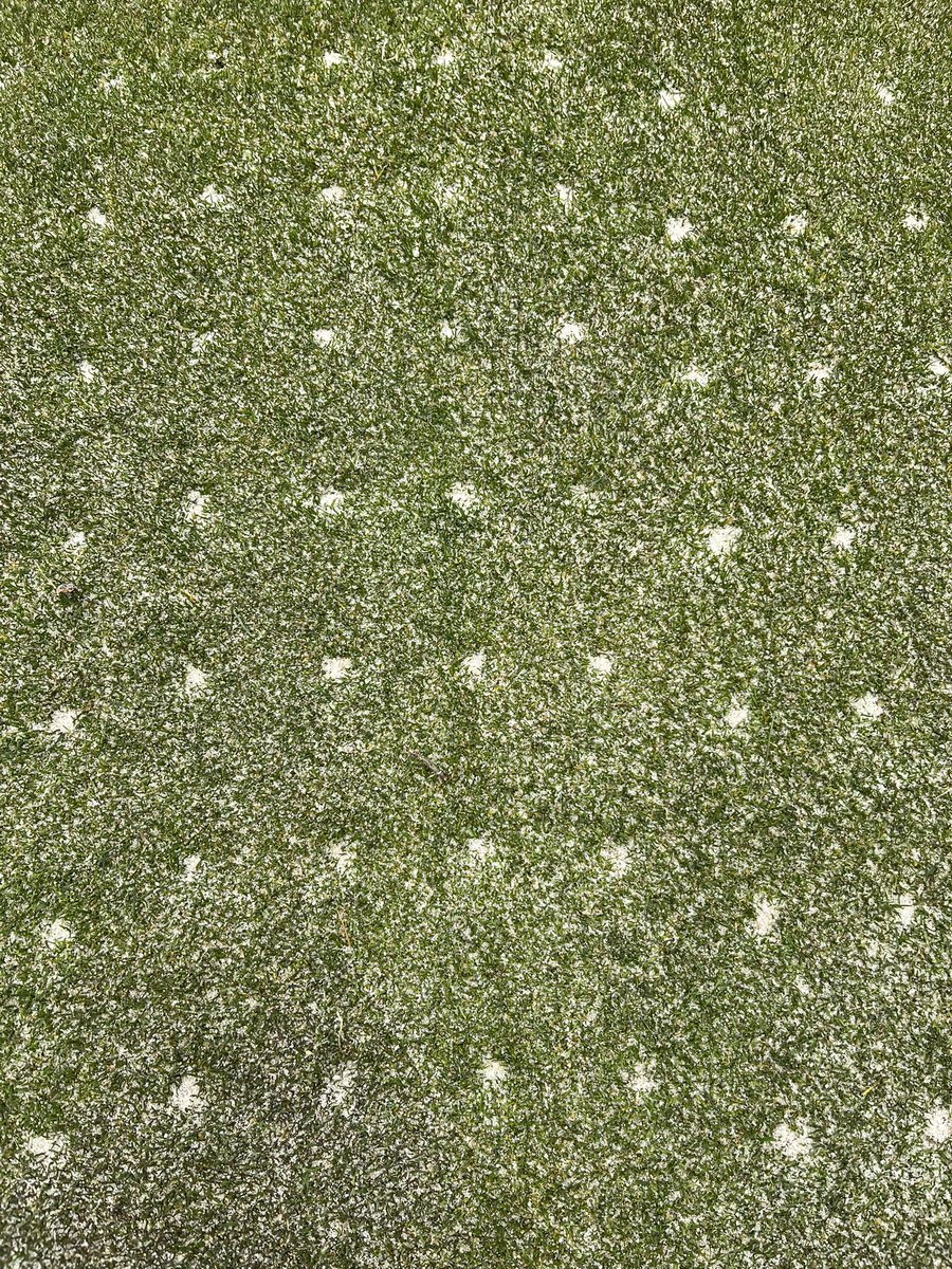 Mahaley Nemtuda tweet media