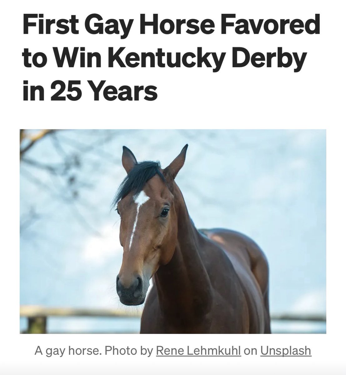 horse tweet media