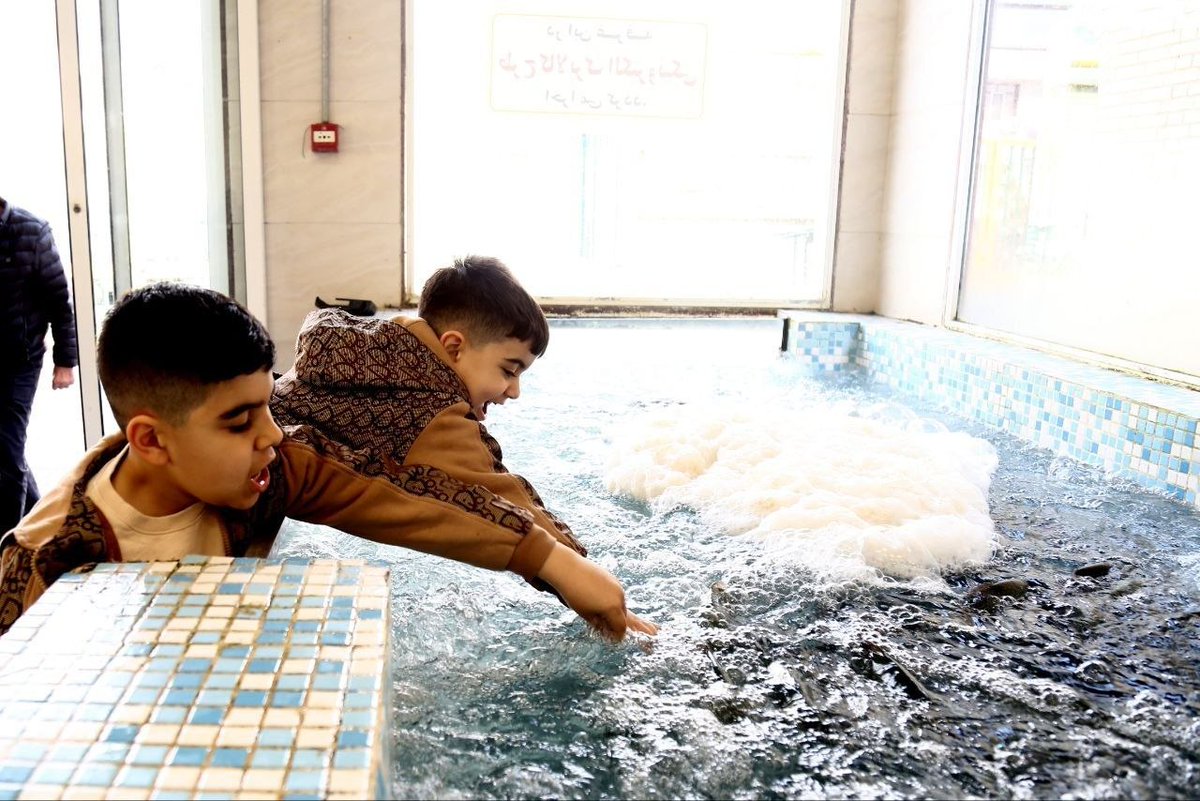 Sprinter Press tweet media