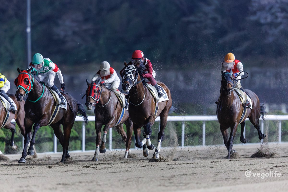 ベガライフ tweet media