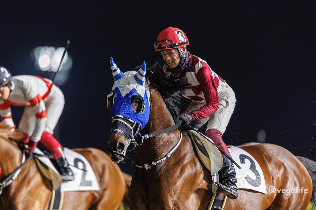 ベガライフ tweet media