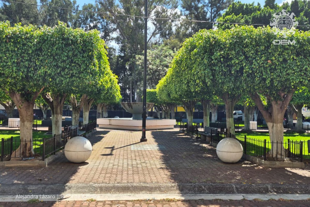 El Sol de Zamora tweet media