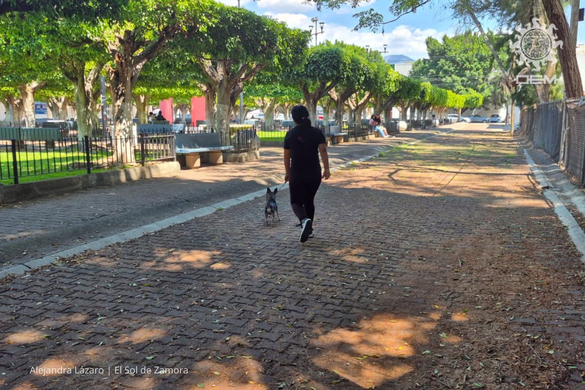 El Sol de Zamora tweet media