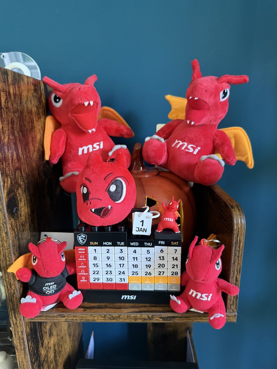 Leila - レイラ tweet media