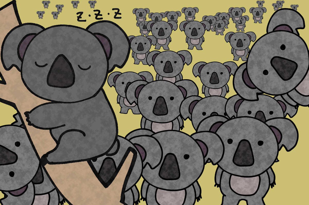 yu~ki🐨 tweet media