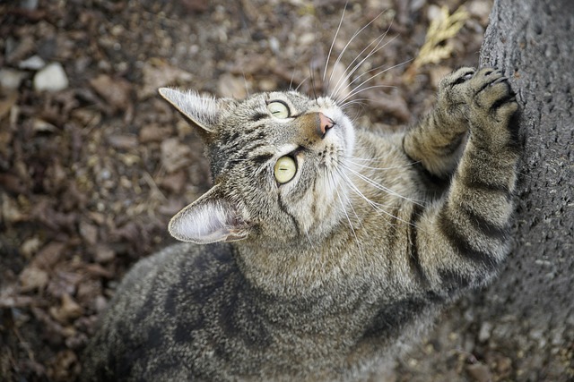 James Carpenter tweet media