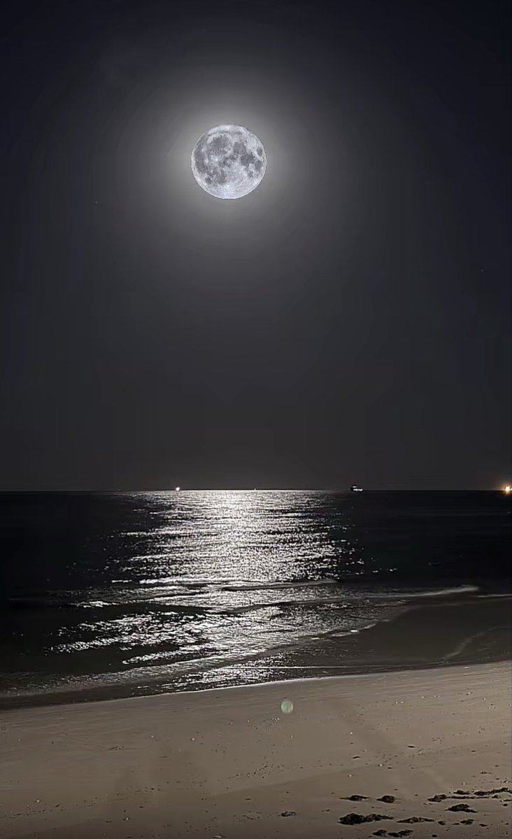 فيصل tweet media