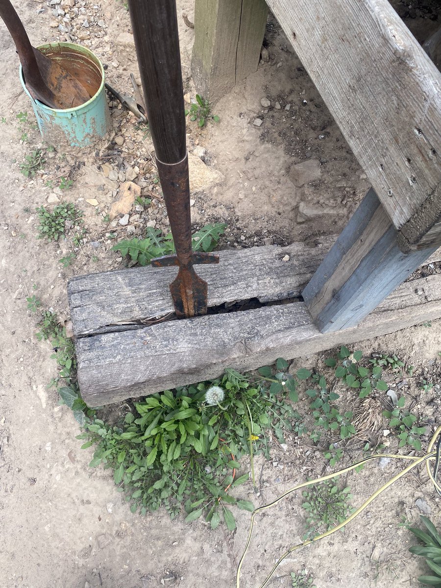 TheThermonuclearWasteland tweet media