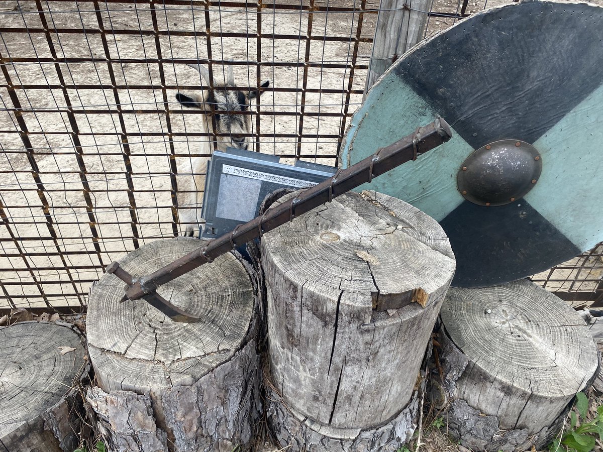 TheThermonuclearWasteland tweet media