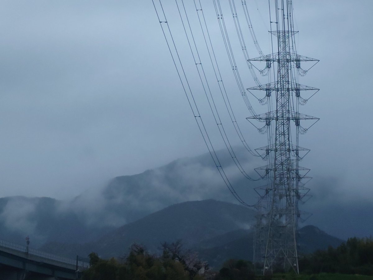ルル@黒の森猫（里山低山徘徊） tweet media