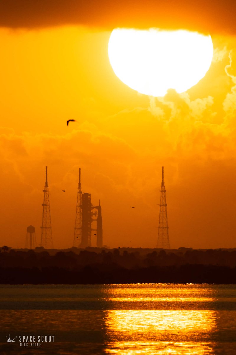 Nick B 📸🚀 tweet media