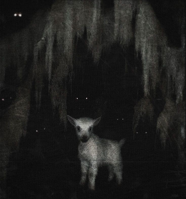 Jakeline Wiliane tweet media