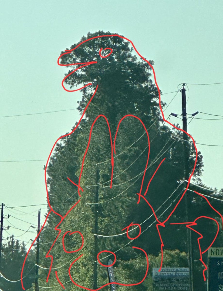 RoxyGrayrat_'s tweet photo. @Marcela252016 Godzila haciendole el sin respeto al conejo https://t.co/hr0p9RAH12