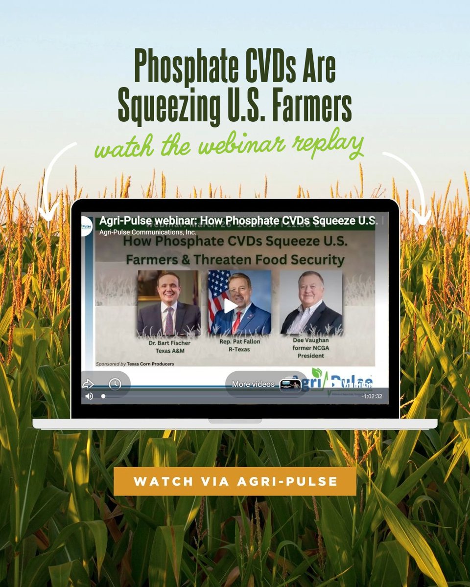 Texas Corn Producers tweet media