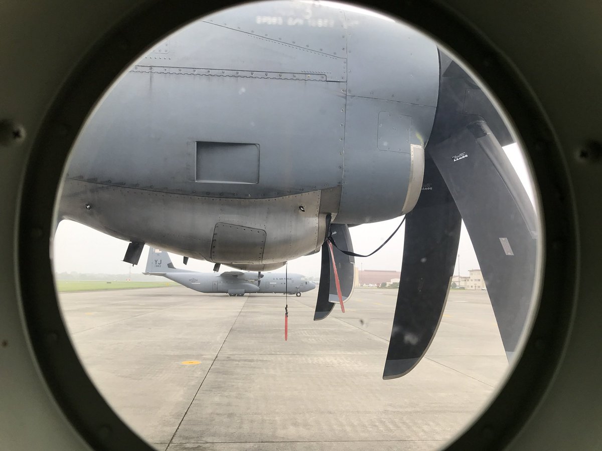 とし”ぼぶ”ぞう虫 tweet media