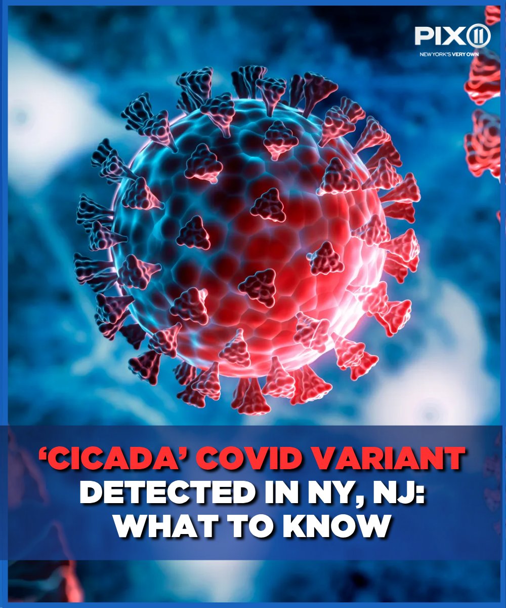 PIX11 News tweet media