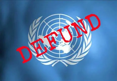 BRIDGET YANKOWITZ tweet media