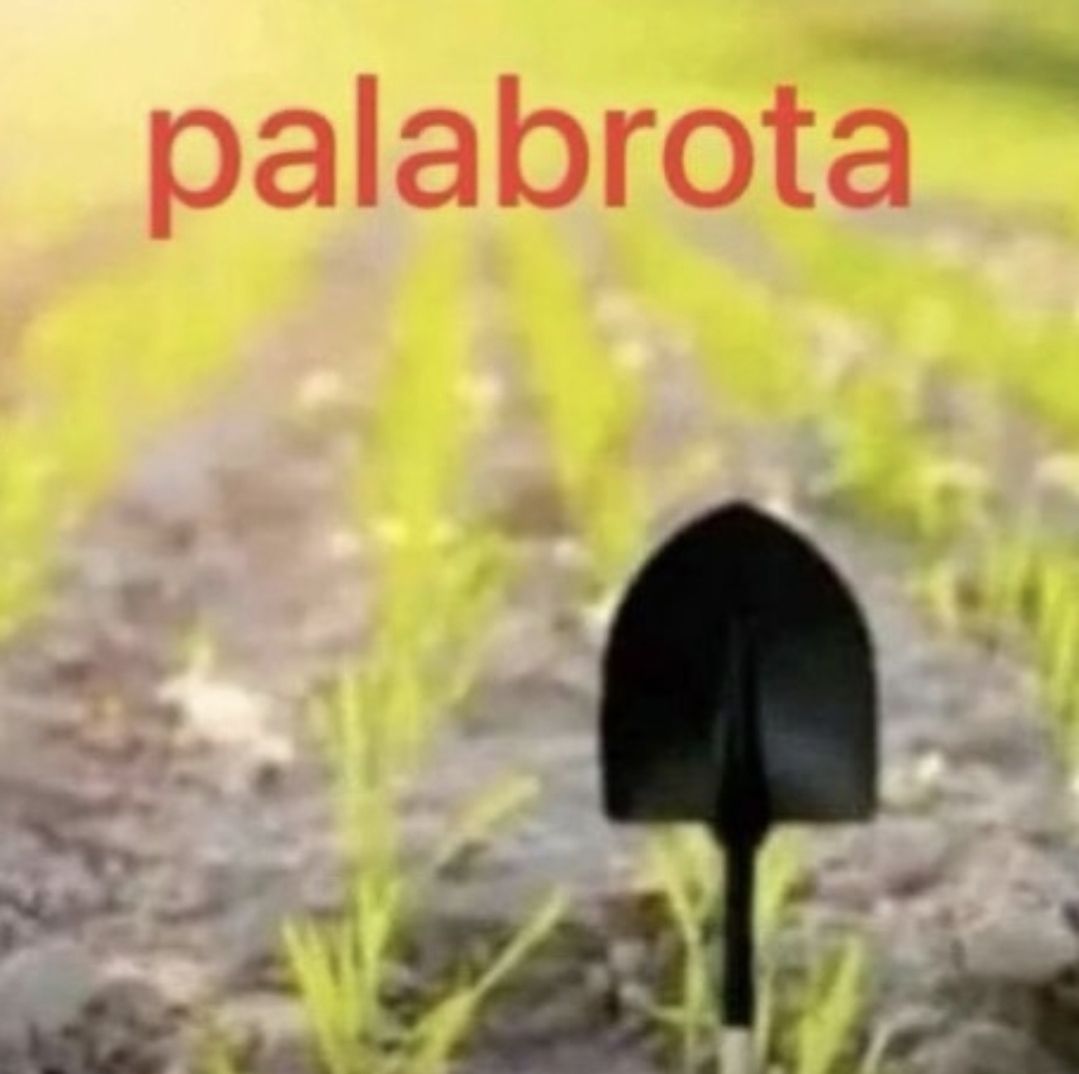 Rocktimus 16 tweet media